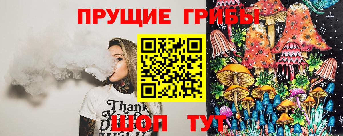 Псилоцибиновые грибы Psilocybine cubensis Таганрог