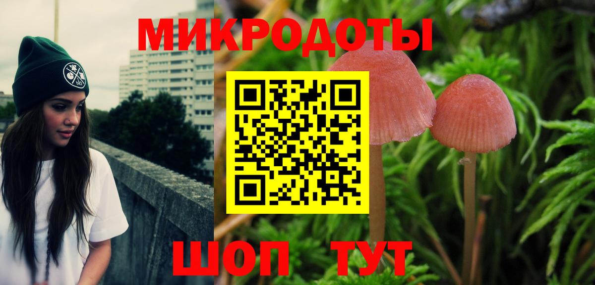 Псилоцибиновые грибы GOLDEN TEACHER  Вход с VPN  Таганрог  Галлюциногенные грибы мухоморы 