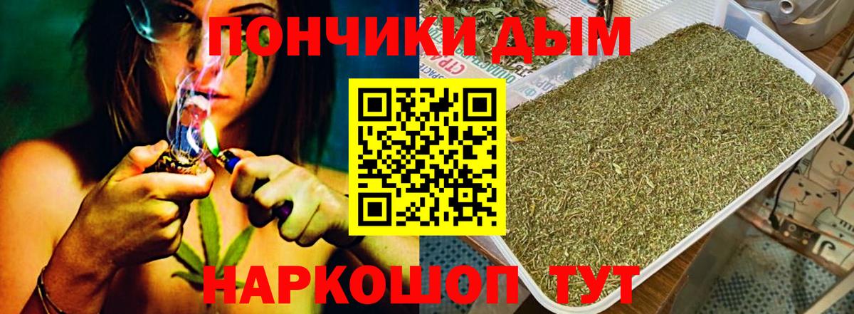 Конопля ГИДРОПОН  Вход с VPN  Каннабис Ganja  Таганрог  Канабис семена  Каннабис планчик 